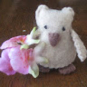 Meet your Posher, Katelyn